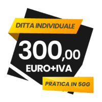 Prezzo elettricista idraulico o imbianchino per ditta individuale