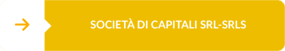 bottone società di capitali srl srls